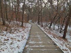 -帽儿山国家森林公园