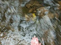 泉水清澈-藏龙百瀑风景区