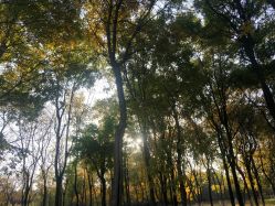 -爱儿美儿童摄影(奥森公园店)