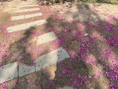 -回龙观体育文化公园