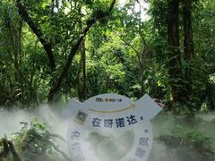 -呀诺达热带雨林