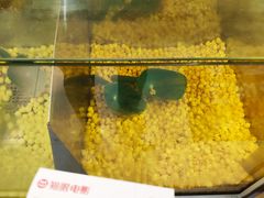 -南宁时代电影大世界(CGS激光中国巨幕)