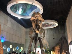 -诸城市恐龙博物馆