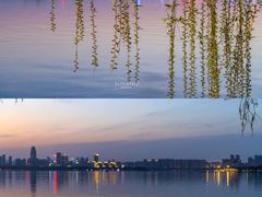 -东湖磨山景区