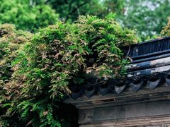 -苏州文庙(姑苏区)
