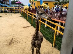 -西霞口神雕山野生动物世界