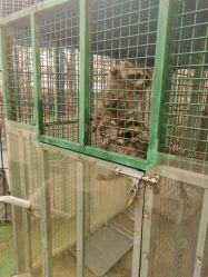 -萌宠亲子动物乐园(槐房万达店)