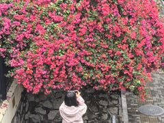 -荔园小馆(园岭新村二期店)