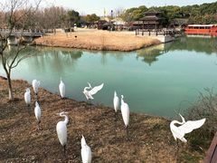 -苏州太湖国家湿地公园