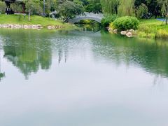 -四海公园(南山区)