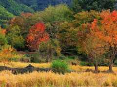 -塔川景区