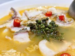 -青花椒花椒鱼(合生汇店)