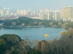 -上海新发展亚太JW万豪酒店