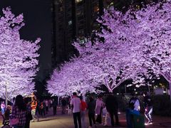 -西北湖绿化广场