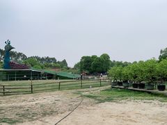 -秀丽东方