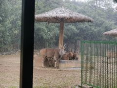 -杭州野生动物世界