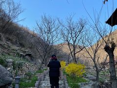 -北京水岸山吧度假村(雁栖镇店)