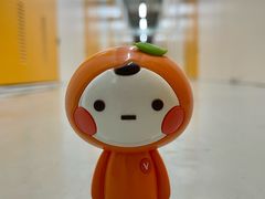 -安东易迷你仓自助寄存仓库(苏州桥店)