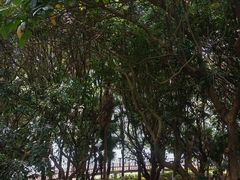 -水濂山森林公园