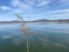 -野鸭湖国家湿地公园