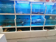 -聚丰园•湖鲜餐厅(阿红私房菜梅石路店)