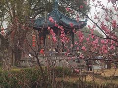 -无锡梅园公园