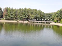 -象山森林公园