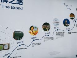 -伊美尔医疗美容医院