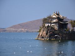 -小普陀