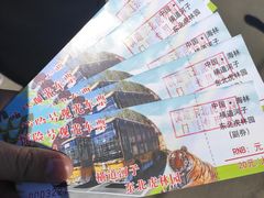 -横道河子东北虎林园