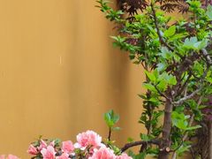 -龙华寺