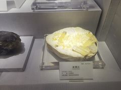 -湖南省地质博物馆
