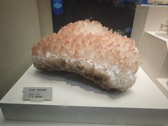 -天津自然博物馆
