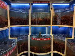 -指爱龙虾(金杨路总店)