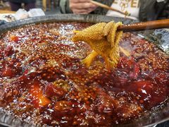 红锅锅底-星鸿社重庆老火锅