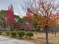 -江南大学(蠡湖校区)