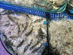 -青蓬蒸汽海鲜·深圳老字号·团建聚会(壹方城店)