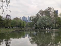 -堤角公园