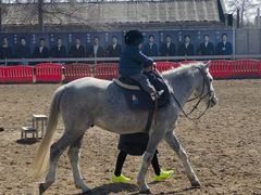 -北京群众马术培训基地