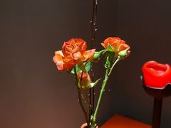 -觀芷隐轩