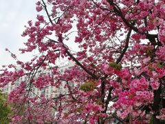 -西南林业大学(白龙校区)