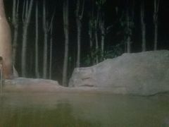 -金孔雀温泉旅游度假村