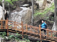 -大岭沟猕猴桃谷风景区