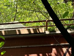 -贵州沾水米线(学田湾店)