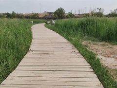 -黄沙古渡原生态旅游区