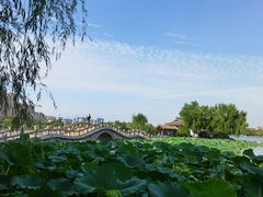 -济南大明湖景区