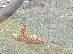 -泉州海丝野生动物世界