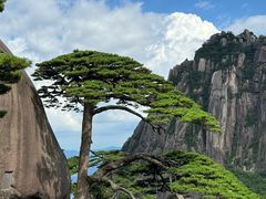 -黄山风景区