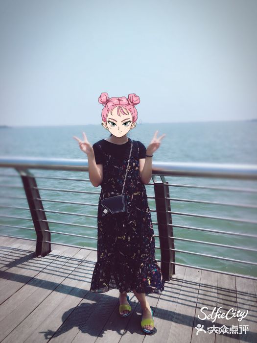 南汇嘴观海公园图片