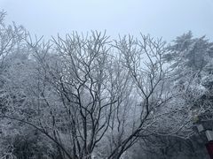 -峨眉山风景名胜区